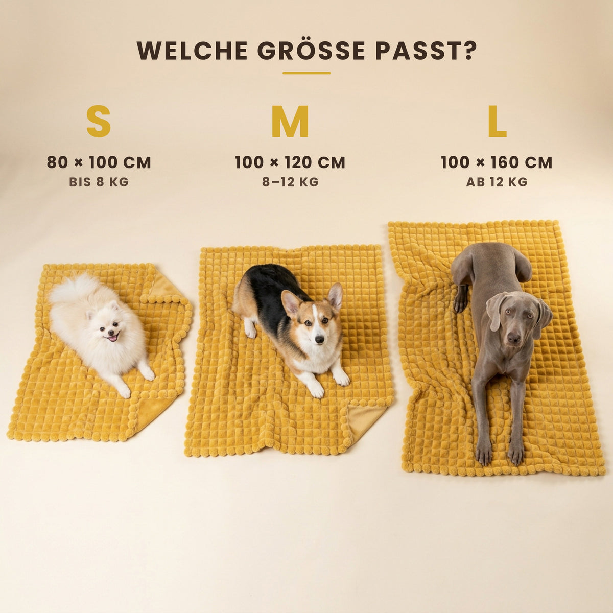 DOGFORM Sicherheitsdecke