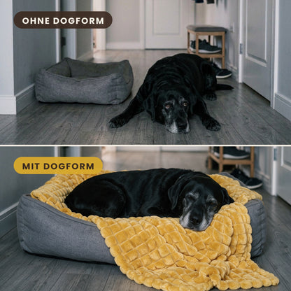DOGFORM Sicherheitsdecke
