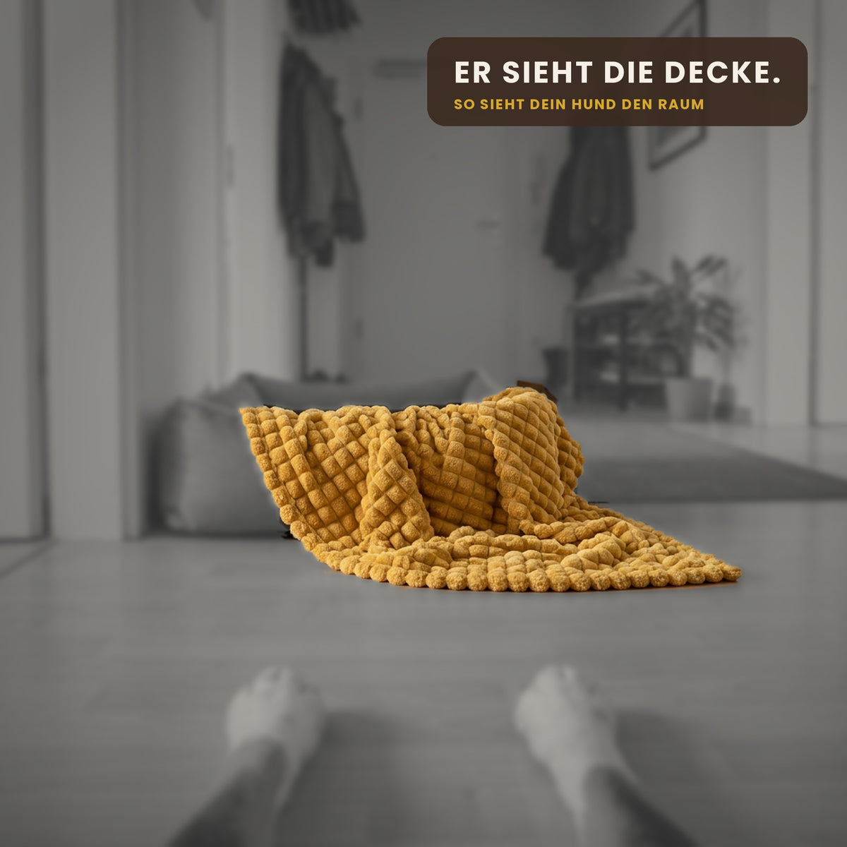 DOGFORM Sicherheitsdecke