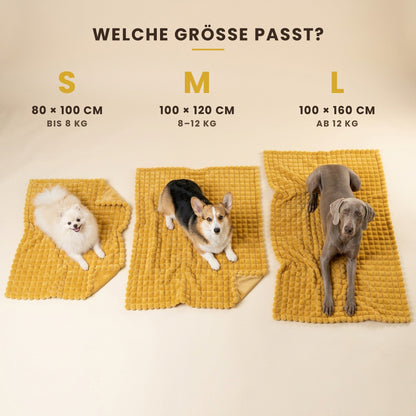 DOGFORM Sicherheitsdecke